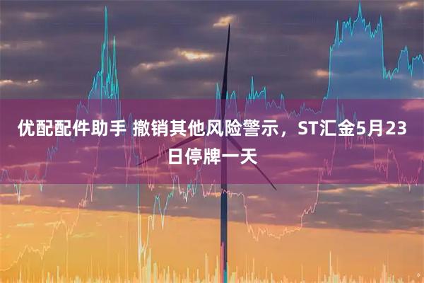 优配配件助手 撤销其他风险警示，ST汇金5月23日停牌一天