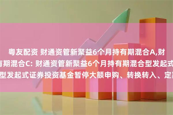 粤友配资 财通资管新聚益6个月持有期混合A,财通资管新聚益6个月持有期混合C: 财通资管新聚益6个月持有期混合型发起式证券投资基金暂停大额申购、转换转入、定期定额投资业务公告