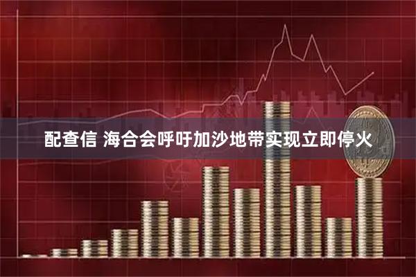 配查信 海合会呼吁加沙地带实现立即停火
